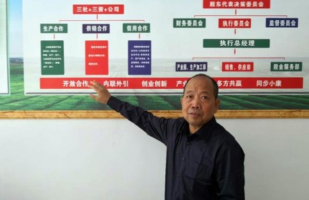 深化供销合作社综合改革新型基层社人的新作为 “三位一体”乡村振兴新时