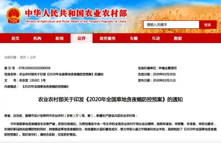 虫口夺粮 中农立华积极部署草地贪夜蛾防控措施