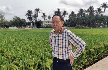 袁隆平：中国不会出现“粮荒” 完全能够自给自足