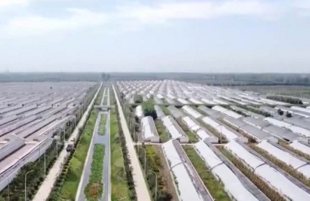 天津武清：把农业建设成为有奔头的产业 央视网
