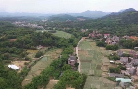 广东阳春：挖掘产业特色资源 走出因地制宜致富路
