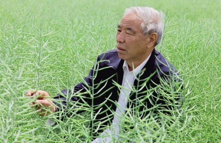 油菜专家的“花田喜事”——记陕西省杂交油菜研究中心研究员李殿荣