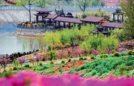 山东省烟台市牟平区邹家庄村：成立合作社 带领村民走致富路