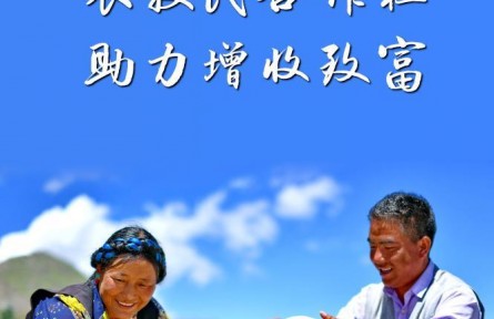 西藏将打造700家以上资产过百万元农牧民合作社