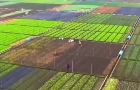 农业农村部：2021年二季度农产品抽检总体合格率为97.8%