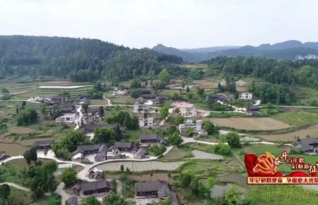 贵州贵阳：上半年农业农村经济实现高速增长