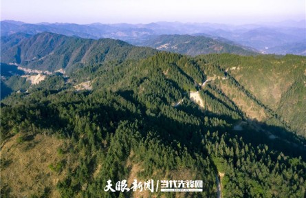贵州：森林生态系统固碳量达每年3023.79万吨