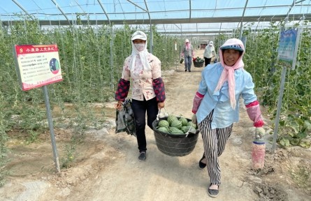 高效节水 丰收戈壁——甘肃高效节水推动区域经济社会高质量发展