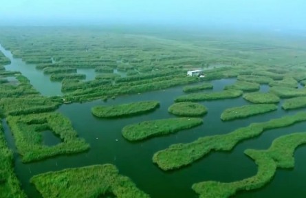 河北：系统修复 立体维护 全面改善水生态环境