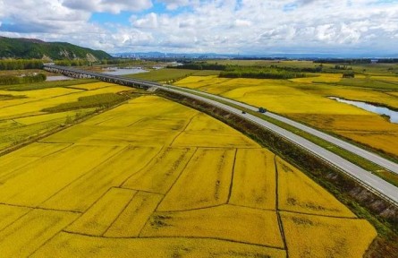 黑龙江牡丹江签订农田托管合同总面积超160万亩