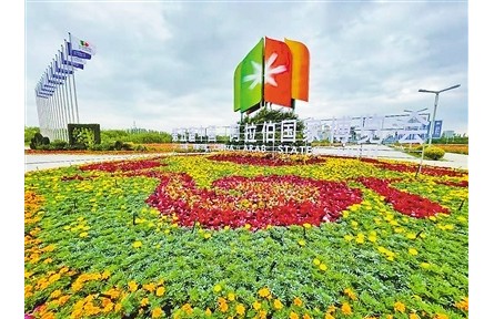 携手打造面向新时代的中阿命运共同体——习近平主席贺信引热议
