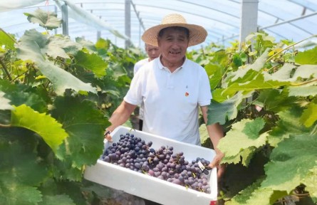 山东济宁邹城市香城镇：打造全域整治“香城样板” 激发乡村振兴内生动力