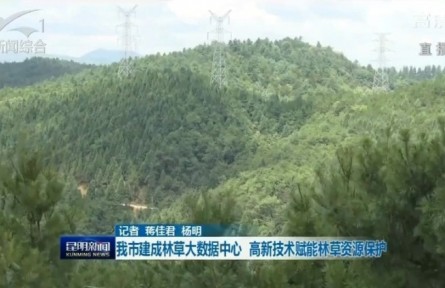 云南昆明建成林草大数据中心 高新技术赋能林草资源保护