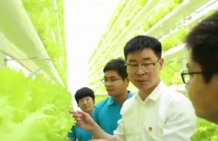 山东临沂：“四雁”工程为乡村振兴注入强劲活力