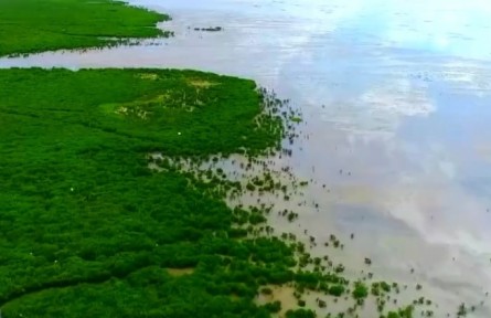 生态环境部：全国海洋生态环境总体改善