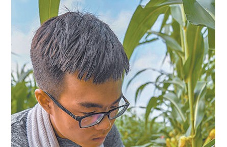 一个农民合作社的提质增效路