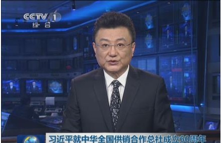 习近平在中华全国供销合作总社成立60周年之际作出重要批示