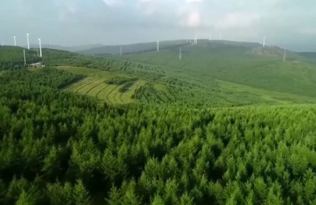 河北张家口崇礼区：践行绿色办奥理念 打造完整生态绿地体系