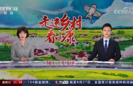 上海宝山 “社区通”：数字化赋能乡村治理