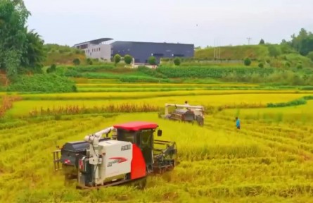 金秋时节到 各地忙丰收​
