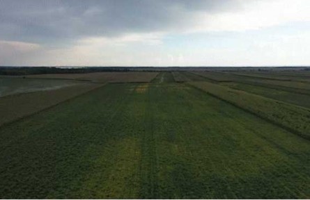 黑龙江黑河爱辉区：原粮“深加工” “身价”涨起来