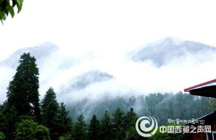 西藏林芝：巴卡村产业遍地开花