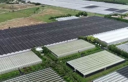 海南陵水：科技助力 吹着空调来种田
