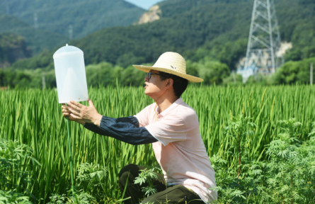 农业绿色发展 green development of the agricultural sector