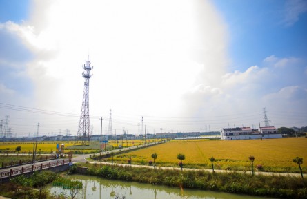 江苏常州武进：坚持示范引领 着力推进高标准农田建设