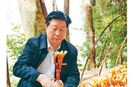 《山海情》蘑菇专家原型、“最美教师”林占熺：心心念念的，永远是菌草
