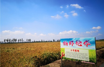 山东省淄博市高青县：资源变资产 资金变股金 农民变股东