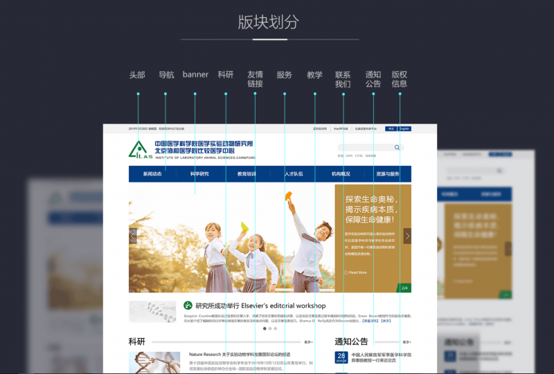 科研院所网（案例：中国医学科学院官网）
