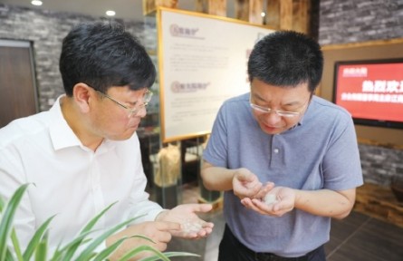 2020年度“全国十佳农民”乔文志：让国人吃上家乡的好大米