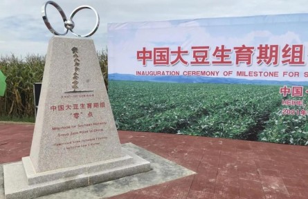 中国大豆“零”点标识碑“定”在黑龙江黑河