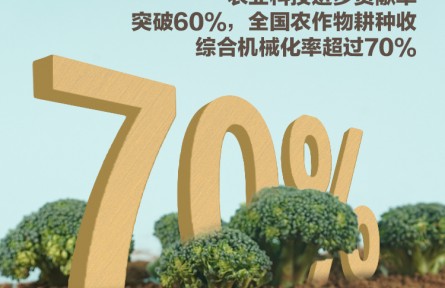 中国产粮能力有多强？这些数据告诉你答案