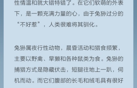 点祁连山国家公园的猫科精灵