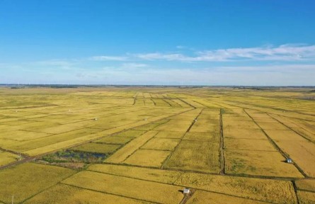 黑龙江：北国大粮仓的瞩目成就