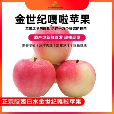 陕西白水苹果正宗金世纪嘎啦苹果
