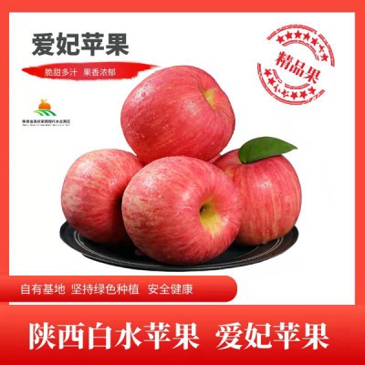 陕西白水爱妃苹果新鲜水果礼盒