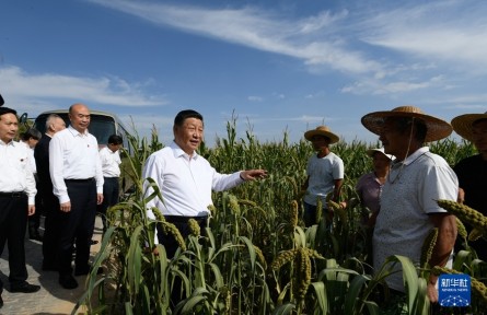 习近平：解放思想改革创新再接再厉 谱写陕西高质量发展新篇章