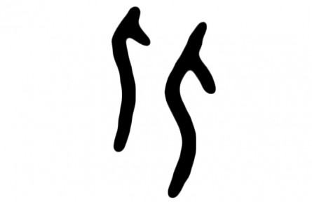 汉字小讲堂：两个“人”的字