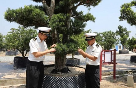 海关科普：数字解读《生物安全法》与海关执法