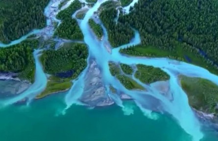 新疆：生态产业协同发展 添绿又“生金”