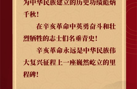 习近平在纪念辛亥革命110周年大会上的讲话金句