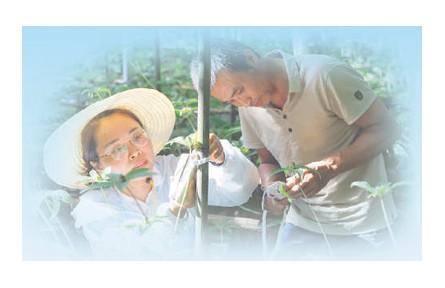 福建：把论文写在田野大地上