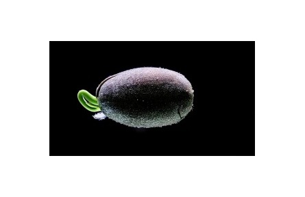 生物多样性专题视频：人类与大自然