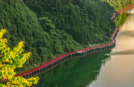 绿水青山间 共同富裕路——浙江自然资源工作助力共同富裕示范区建设初探