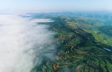 促进生物多样性保护 共建地球生命共同体