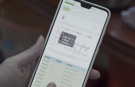 丰收中国·广东梅州：大数据赋能柚子产业