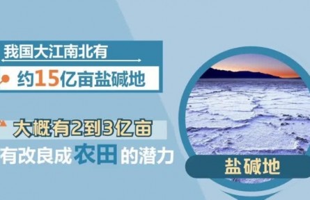 丰收小课堂：我国有2亿多亩盐碱地有改良成农田的潜力